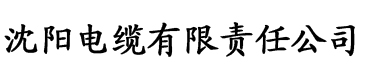 亚洲视频久久电缆厂logo